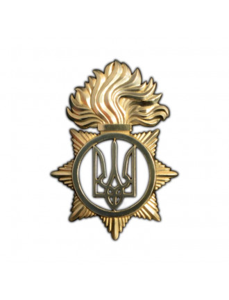 Беретний знак НГУ, латунь