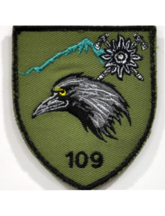 Нарукавний знак 109 ОГШБ (старий)