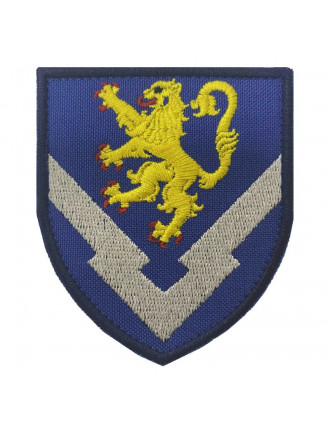 Нарукавний знак "124 Центр", колір