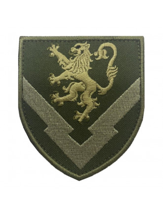 Нарукавний знак "124 Центр", олива