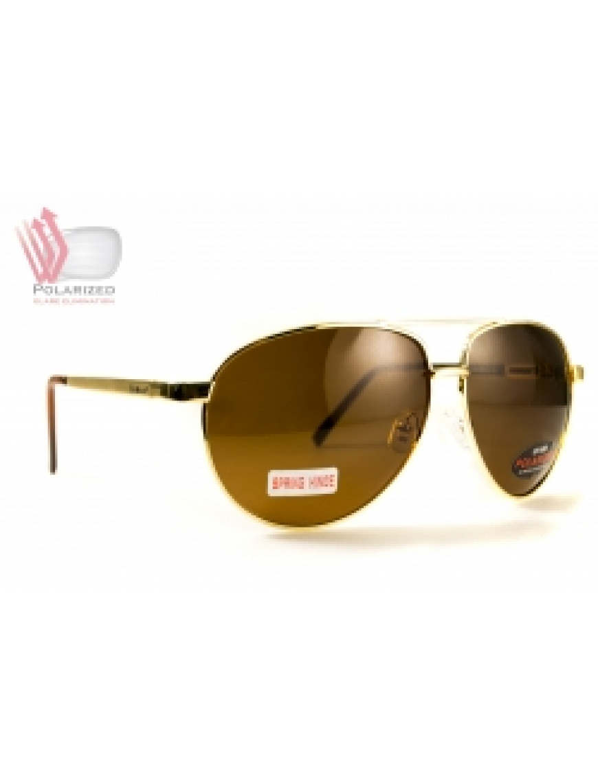 Окуляри BluWater AirForce Gold Polarized, коричневі лінзи