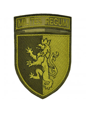 Нарукавний знак 24 окрема механізована бригада ім.Короля Данила, захисний Нарукавний знак 24 окрема механізована бригада ім.Короля Данила, захисний