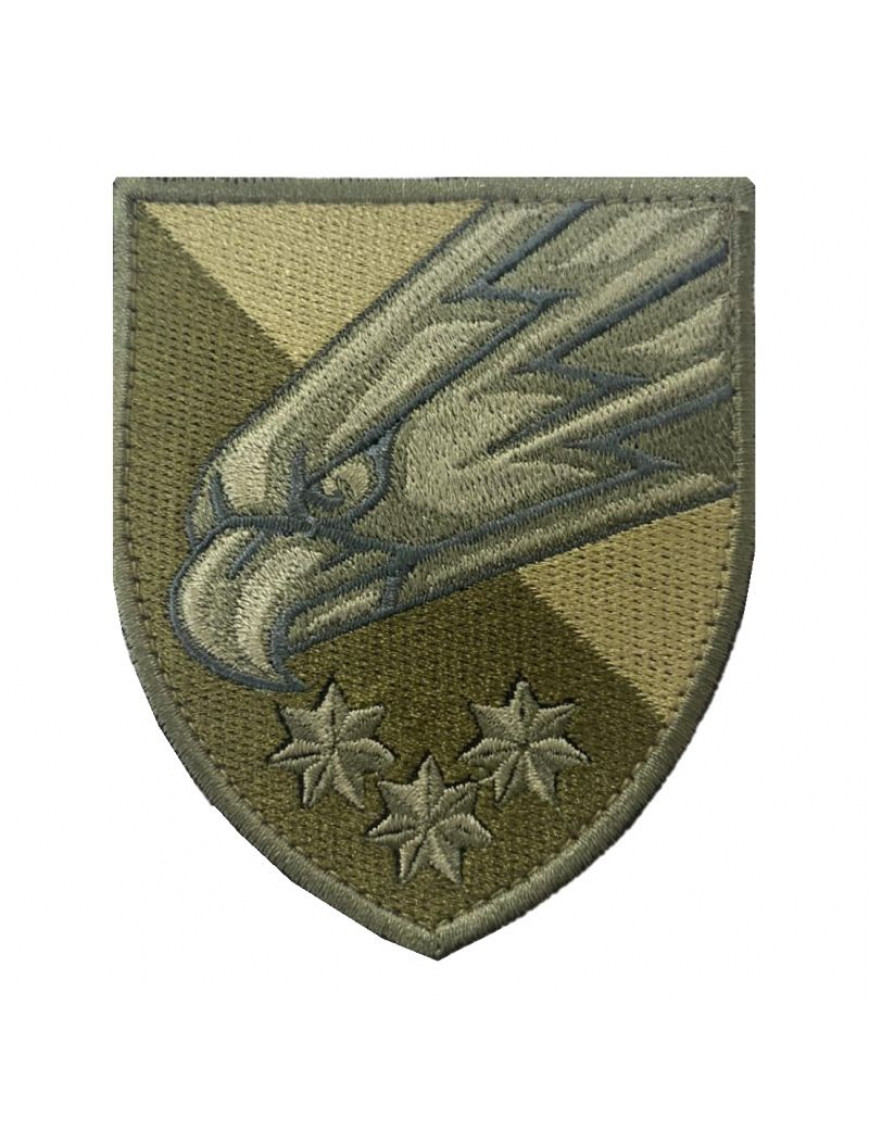 Нарукавний знак 25 ОДШБ, олива