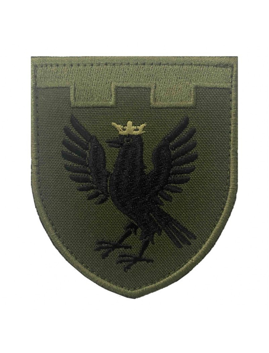 Нарукавний знак 102 ТрО (Івано-Франківська обл.), захисний