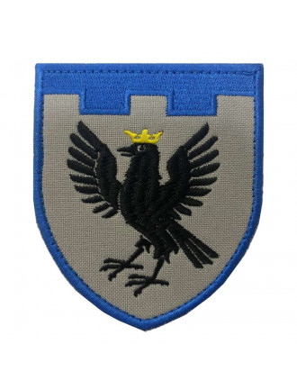 Нарукавний знак 102 ТрО (Івано-Франківська обл.), кольоровий