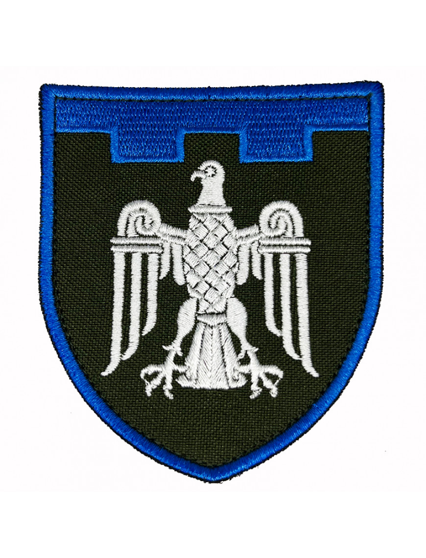 Нарукавний знак 107 ТрО (Чернівецька обл.), кольоровий