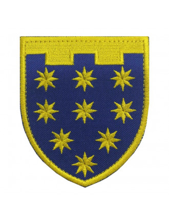 Нарукавний знак 108 ТрО (Дніпропетровська обл.), кольоровий