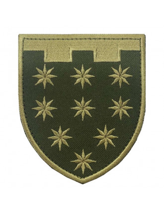 Нарукавний знак 108 ТрО (Дніпропетровська обл.), захисний