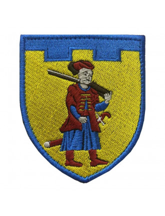 Нарукавний знак 110 ТрО (Запоріжська обл.), кольоровий