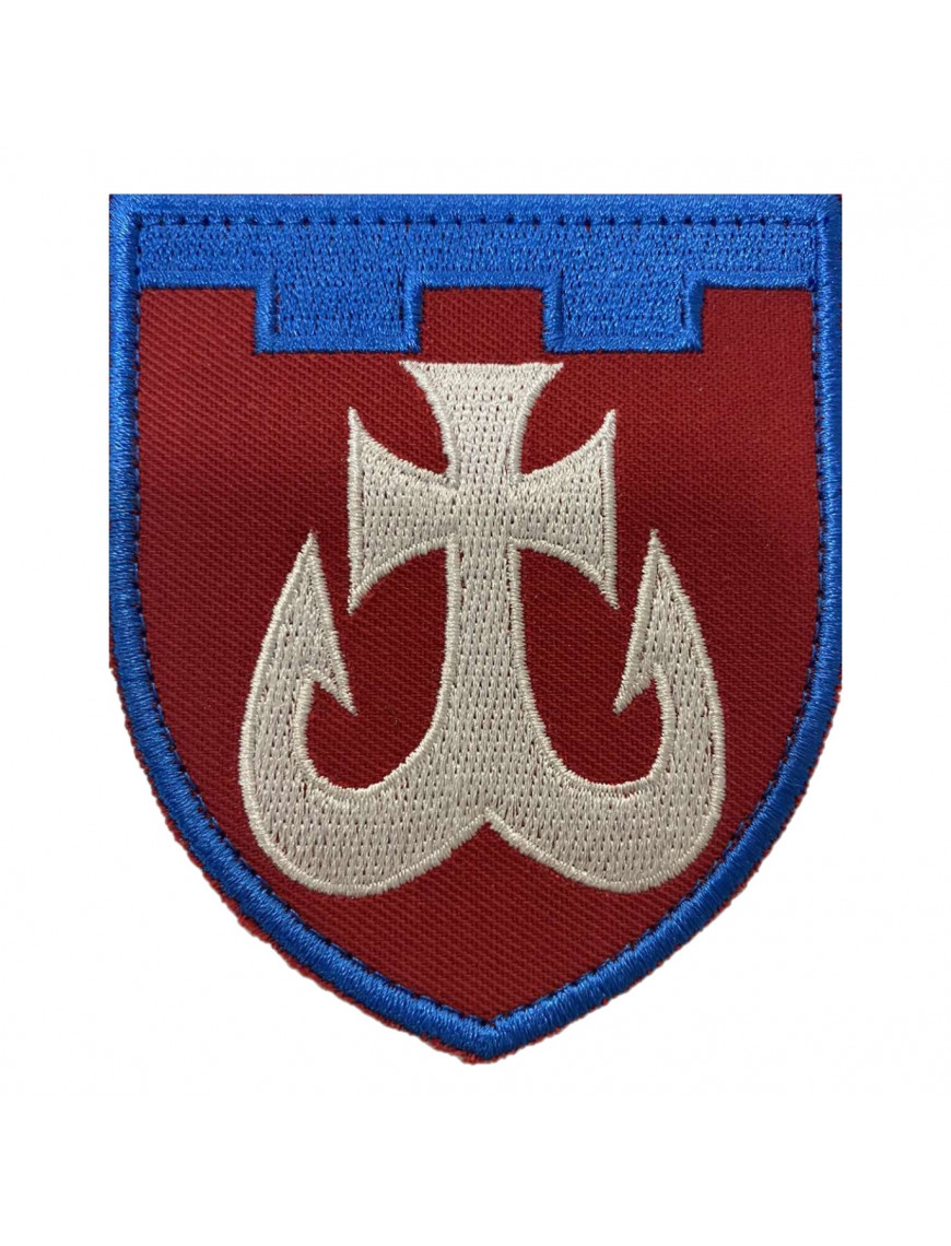 Нарукавний знак 120 ТрО (Вінницька обл.), кольоровий