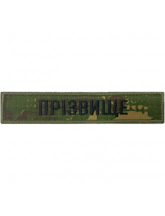 Нагрудний знак НГУ "Прізвище", хижак