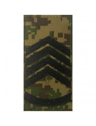 Погон НГУ, хижак, головний сержант