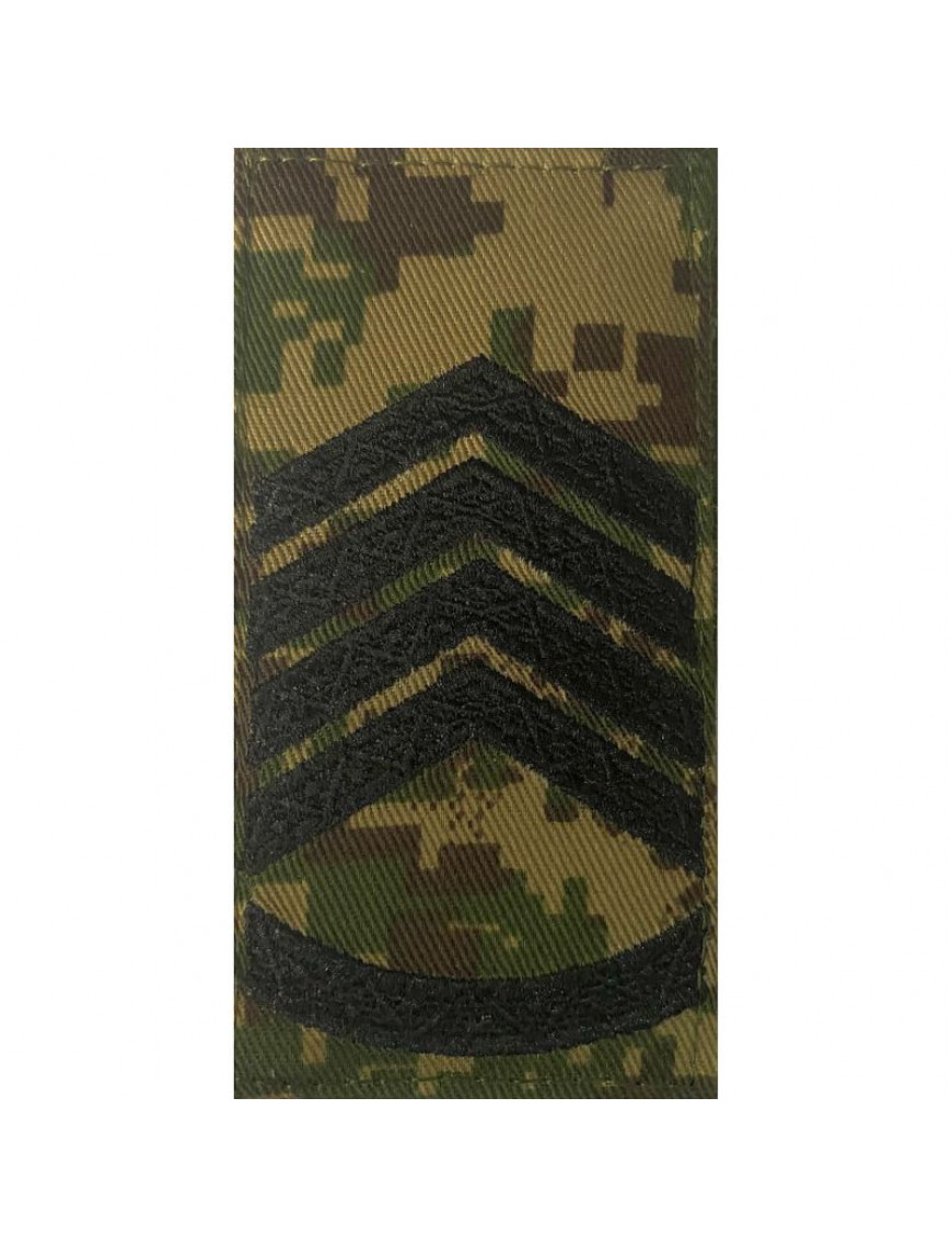 Погон НГУ, хижак, головний сержант