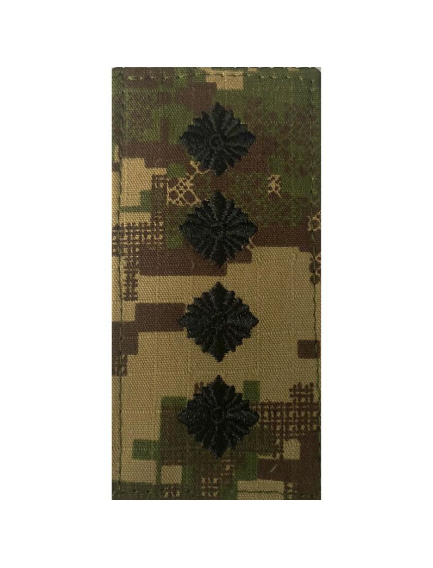 Погон НГУ, хижак, капітан 