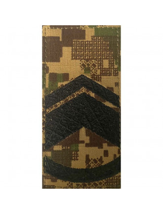 Погон НГУ, хижак, майстер-сержант