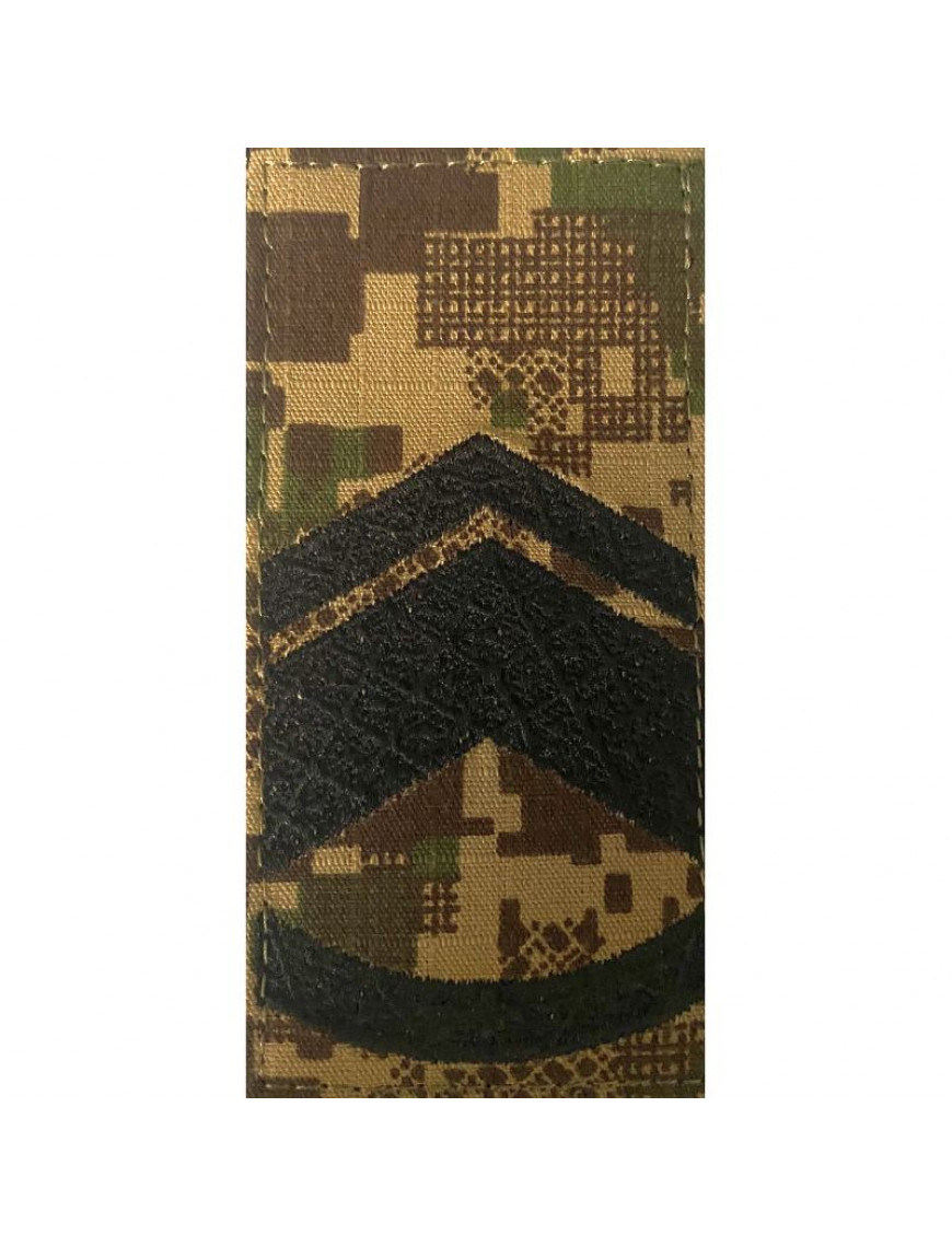 Погон НГУ, хижак, майстер-сержант