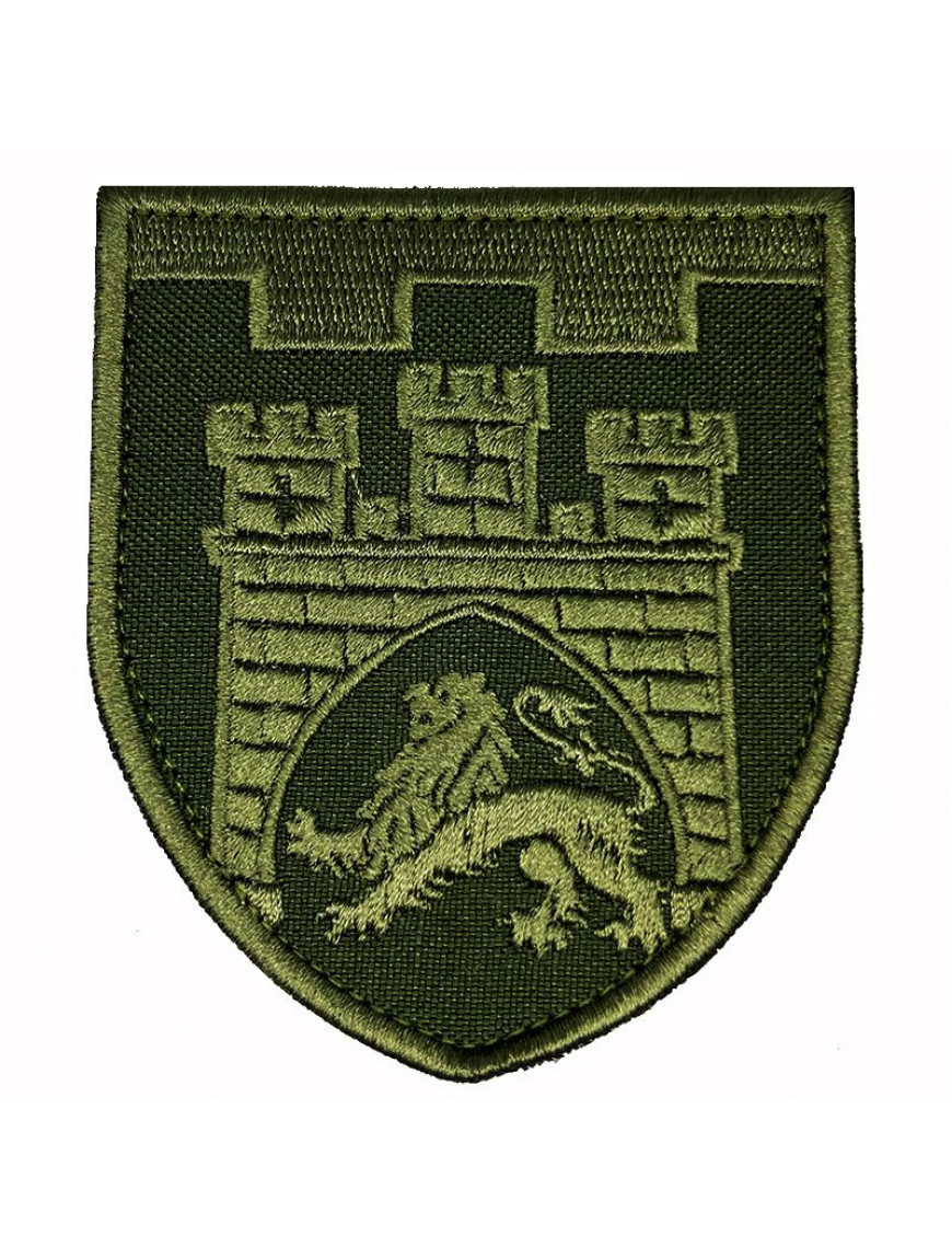 Нарукавний знак 125 ТРО(м.Львів), Захисна