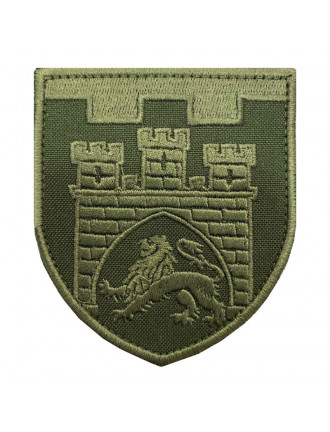 Нарукавний знак 125 ТРО(м.Львів), Захисна