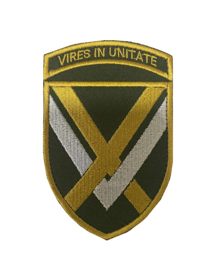 Нарукавний знак 15 Армейський корпус Сухопутних сил ЗСУ, колір