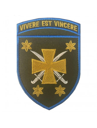 Нарукавний знак 116 Окрема механізована бригада, колір