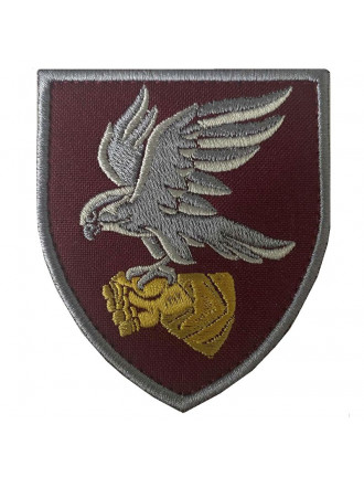 Нарукавний знак 421 Окремий Батальйон Безпілотних систем, кольоровий