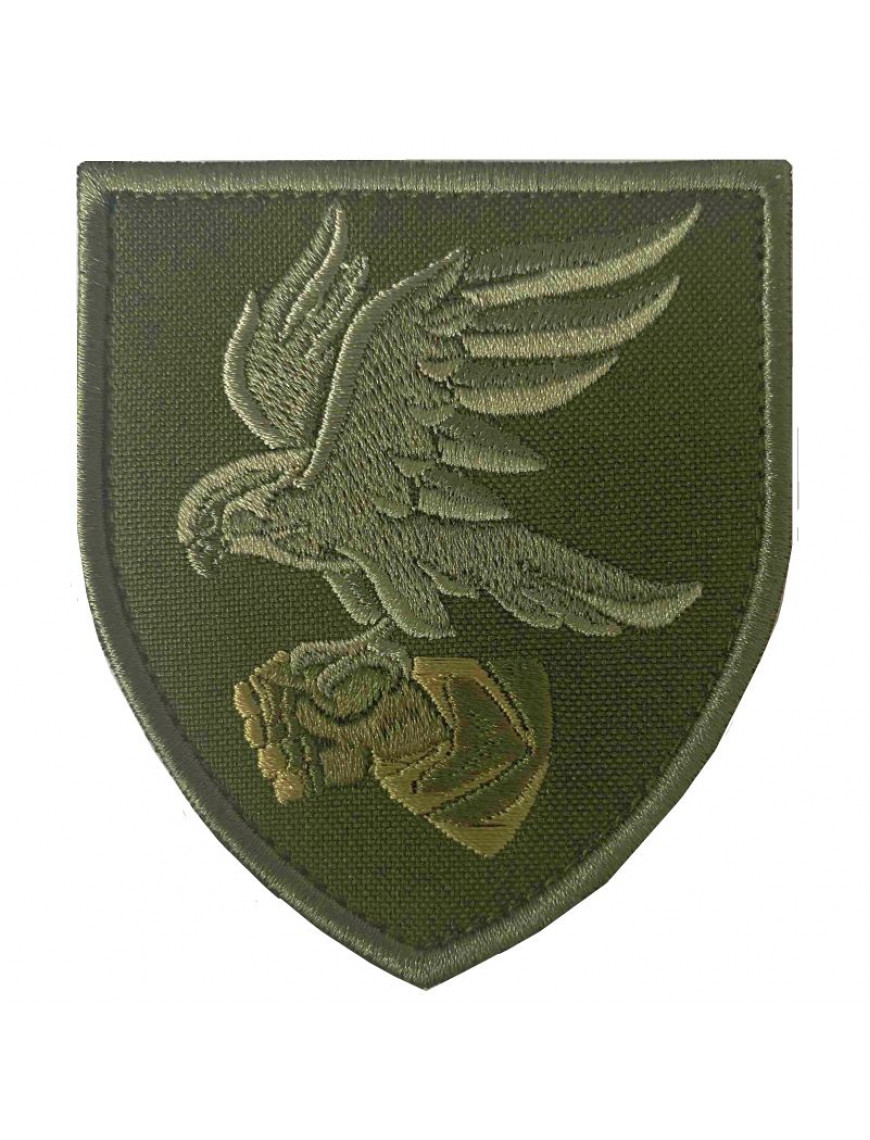 Нарукавний знак 421 Окремий Батальйон Безпілотних систем, захисний