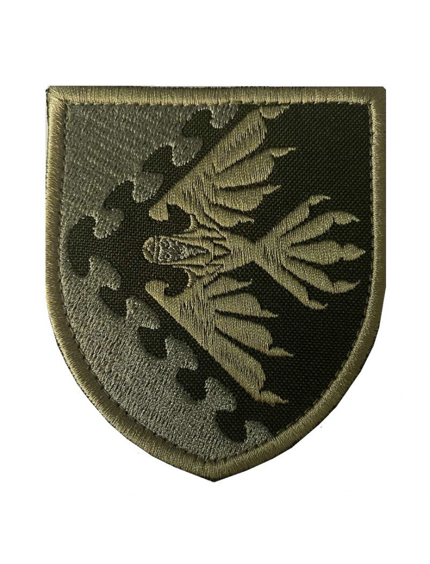 Нарукавний знак 193 центр управління та оповіщення, захисний