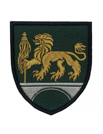 Нарукавний знак 762 окрема бригада охорони Державної спеціальної служби транспорту, колір