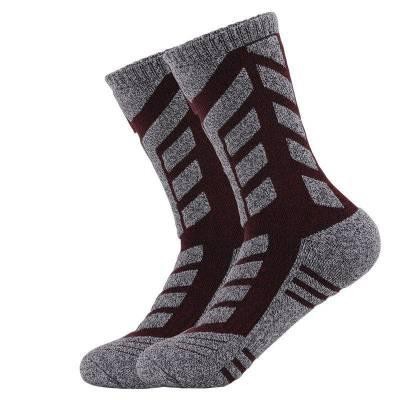 Шкарпетки Sport Socks, Termal, сірий/бордо